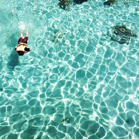 Bubu Resort-2
